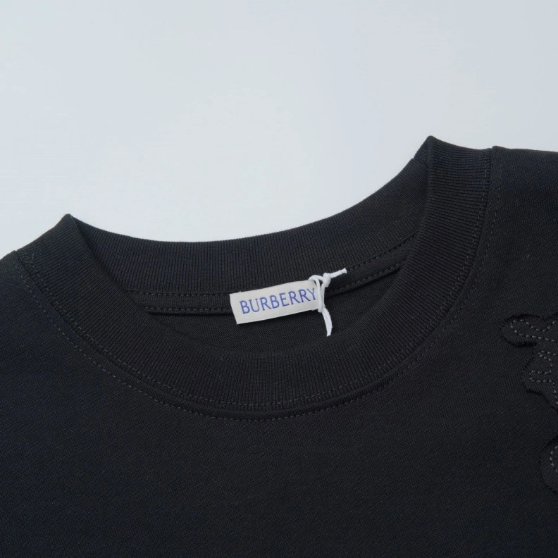 DailyWear Bxrbxrry T-Shirts 92462