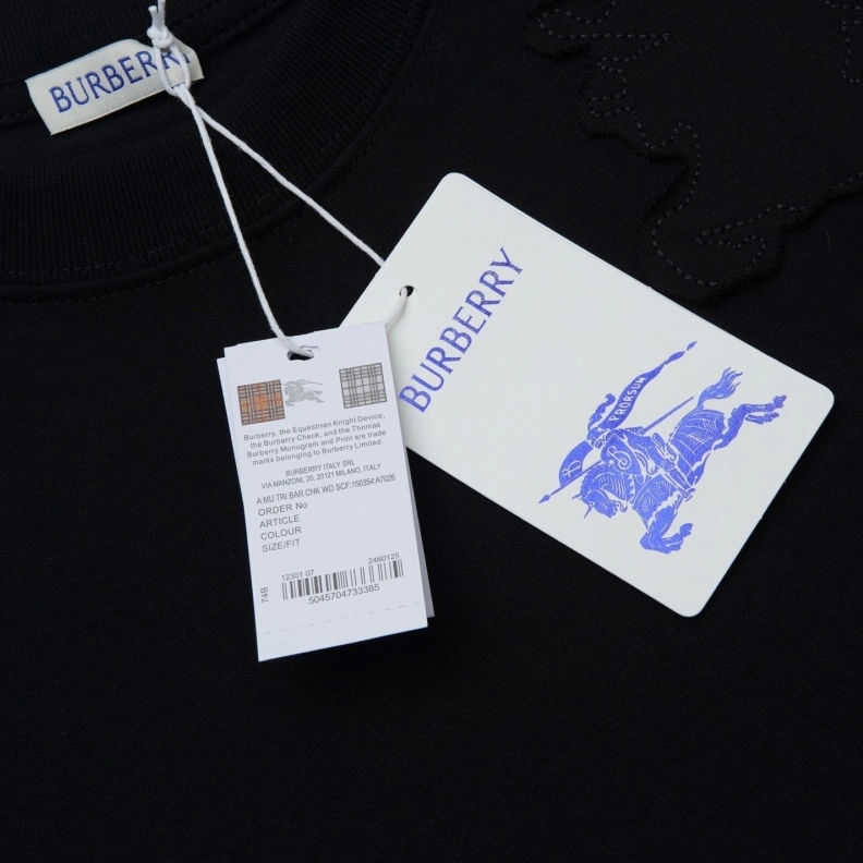 DailyWear Bxrbxrry T-Shirts 92462