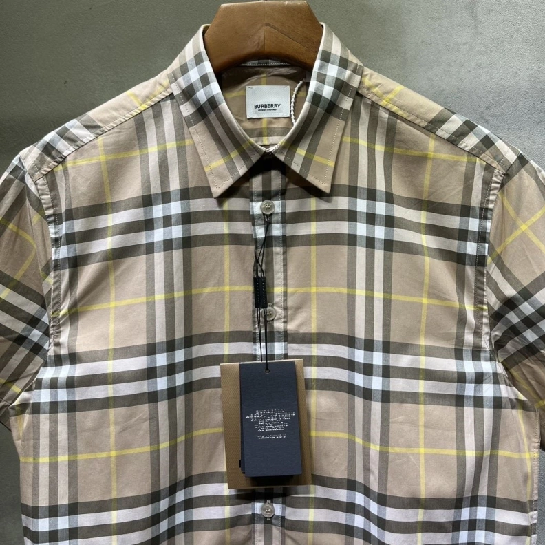 DailyWear Bxrbxrry Shirts 92260