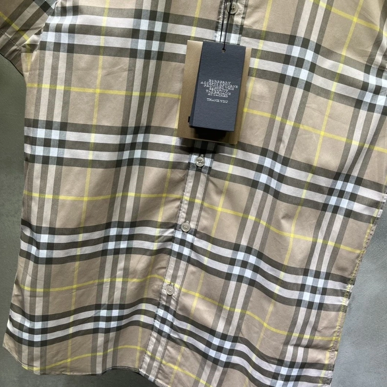DailyWear Bxrbxrry Shirts 92260