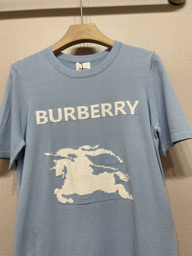 Bxrbxrry T-Shirts GoAnywhere 92003