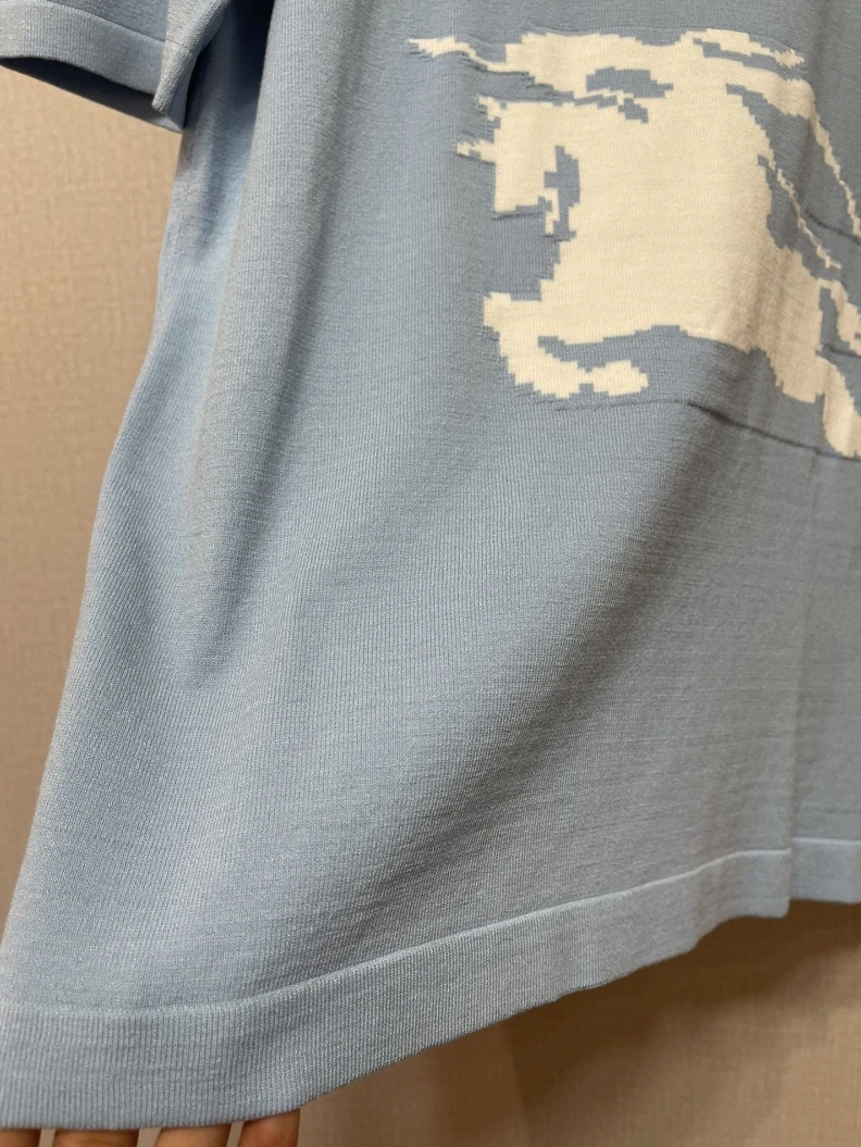 Bxrbxrry T-Shirts GoAnywhere 92003