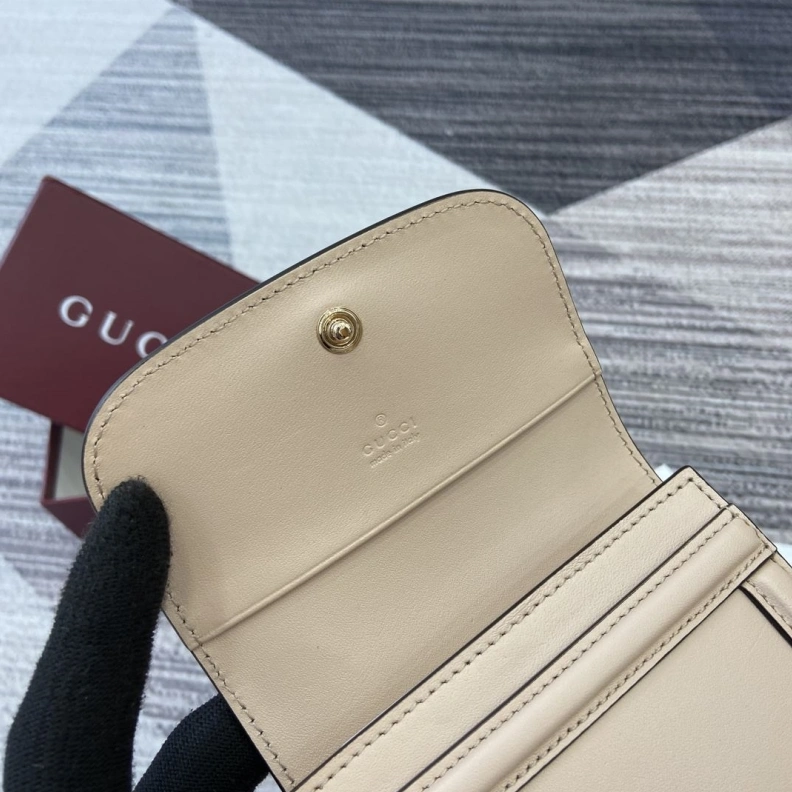 DailyWear Gxccx Wallets & Purse 33308
