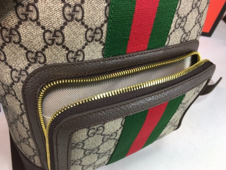 Gxccx Backpacks Elegant 51723