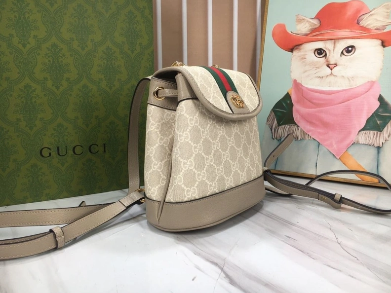 Gxccx Backpacks Stylish 51701