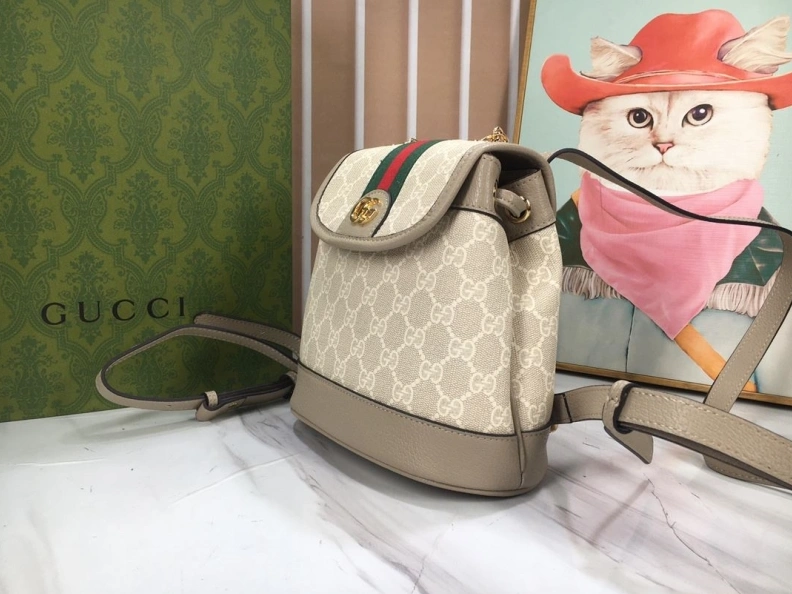 Gxccx Backpacks Stylish 51701