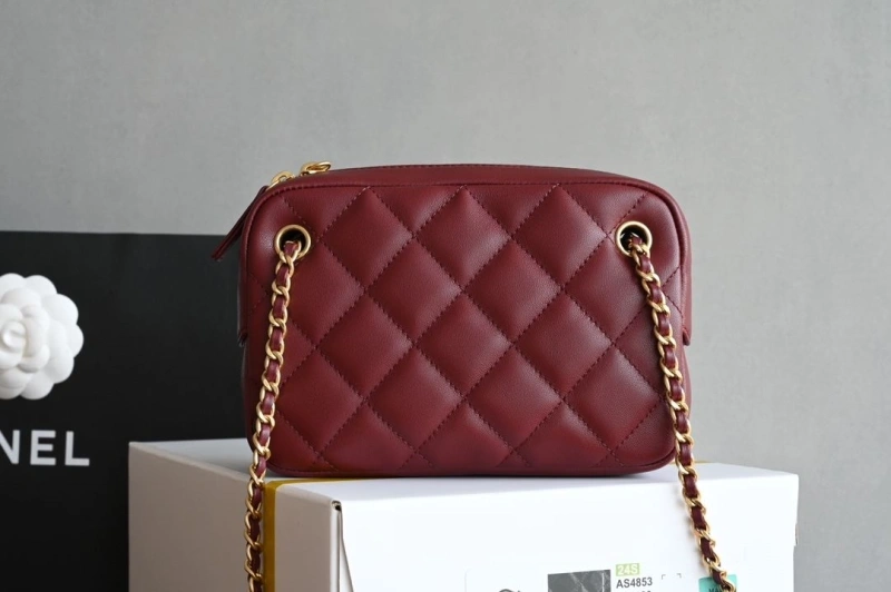 Chxnxl Satchel Bags AllSeason 27986