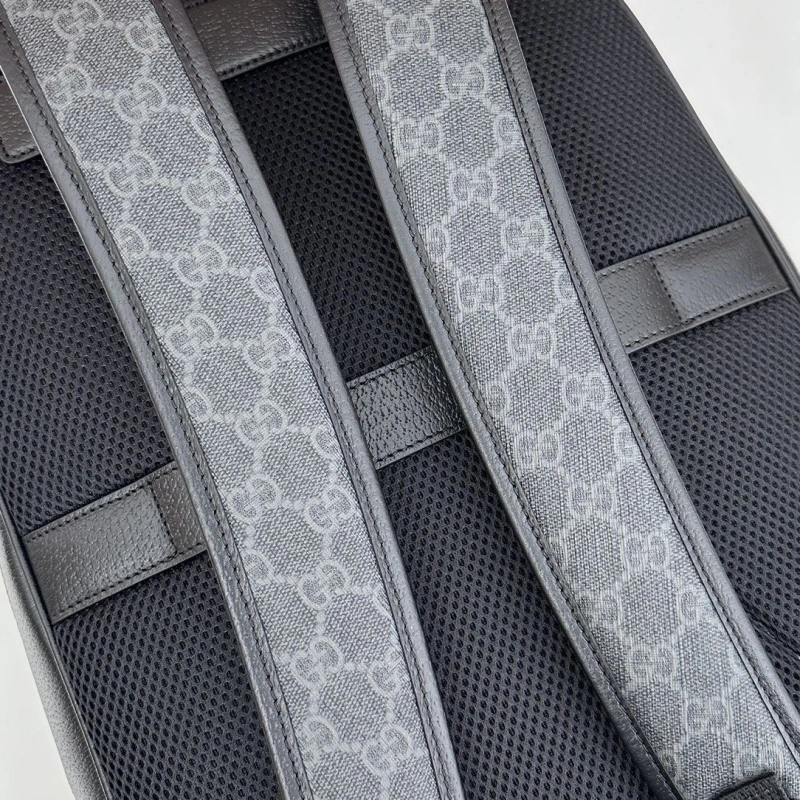 Resilient Gxccx Backpacks 48715