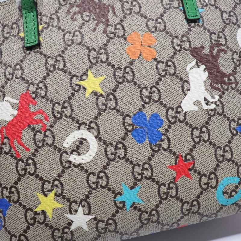 Stylish Gxccx Shopping Bags 48117