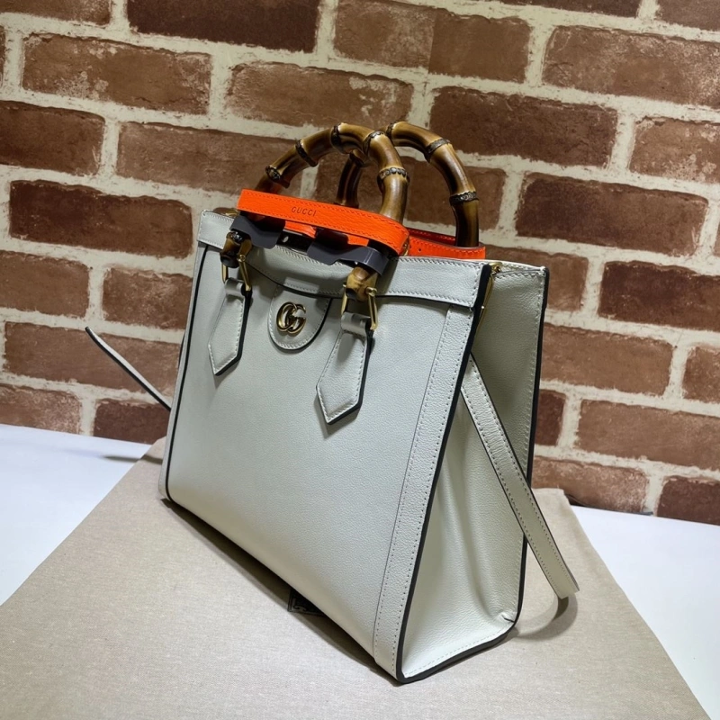 Vibrant Gxccx Shopping Bags 49516