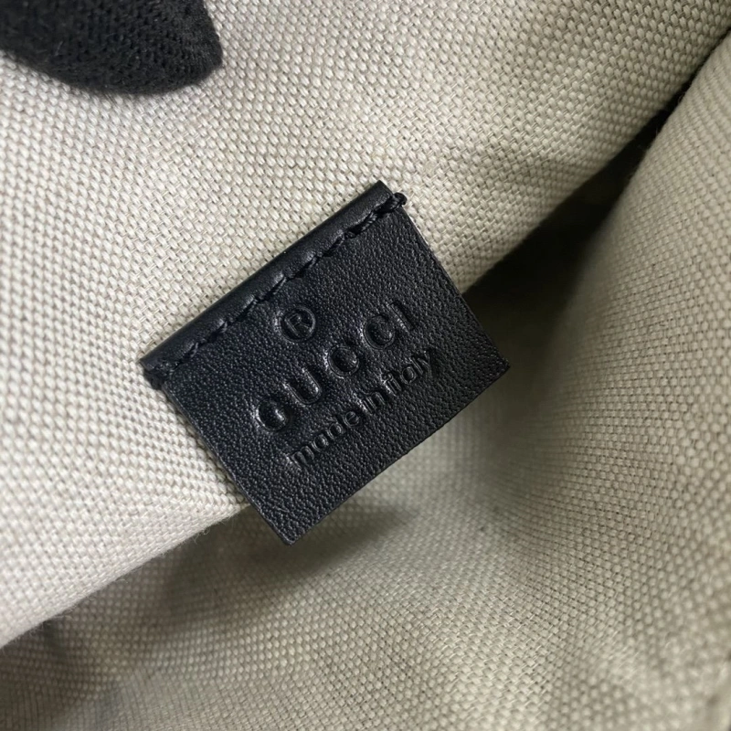 Comfortable Gxccx Waist & Chest Packs 40429