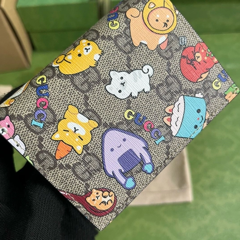 DailyWear Gxccx Wallets & Purse 40312