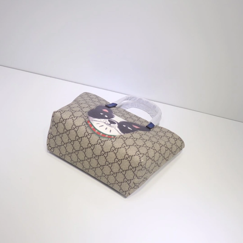 Comfortable Gxccx Shopping Bags 41561