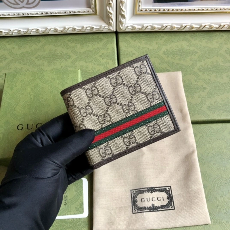 DailyWear Gxccx Wallets & Purse 40163