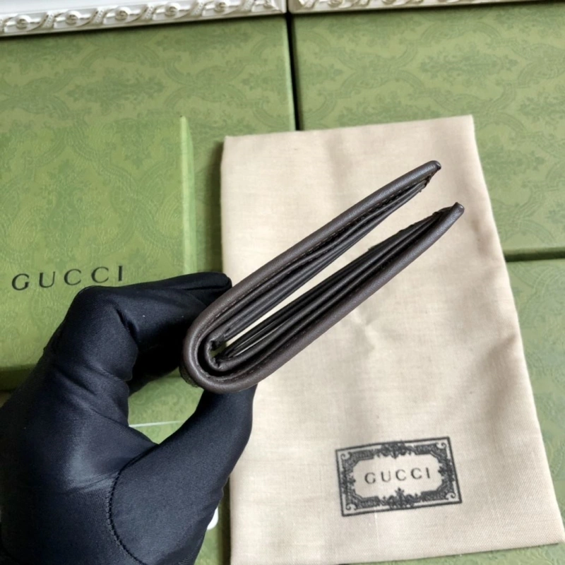 DailyWear Gxccx Wallets & Purse 40163