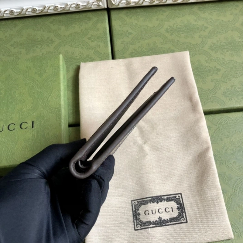 DailyWear Gxccx Wallets & Purse 40163