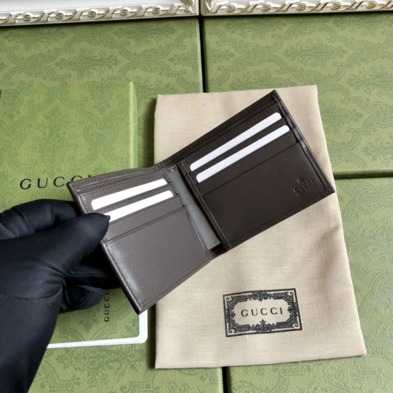 DailyWear Gxccx Wallets & Purse 40163