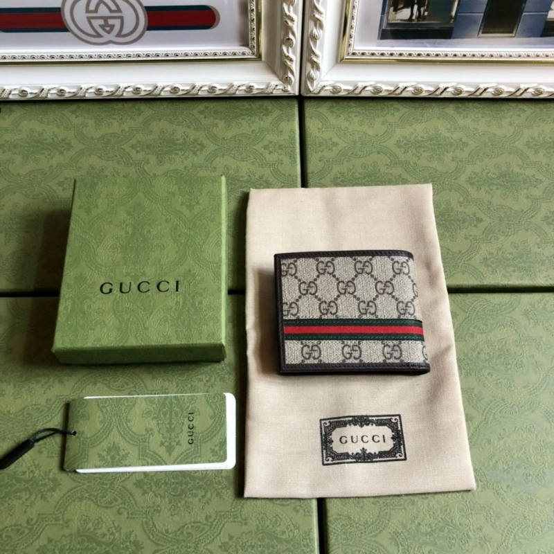DailyWear Gxccx Wallets & Purse 40163