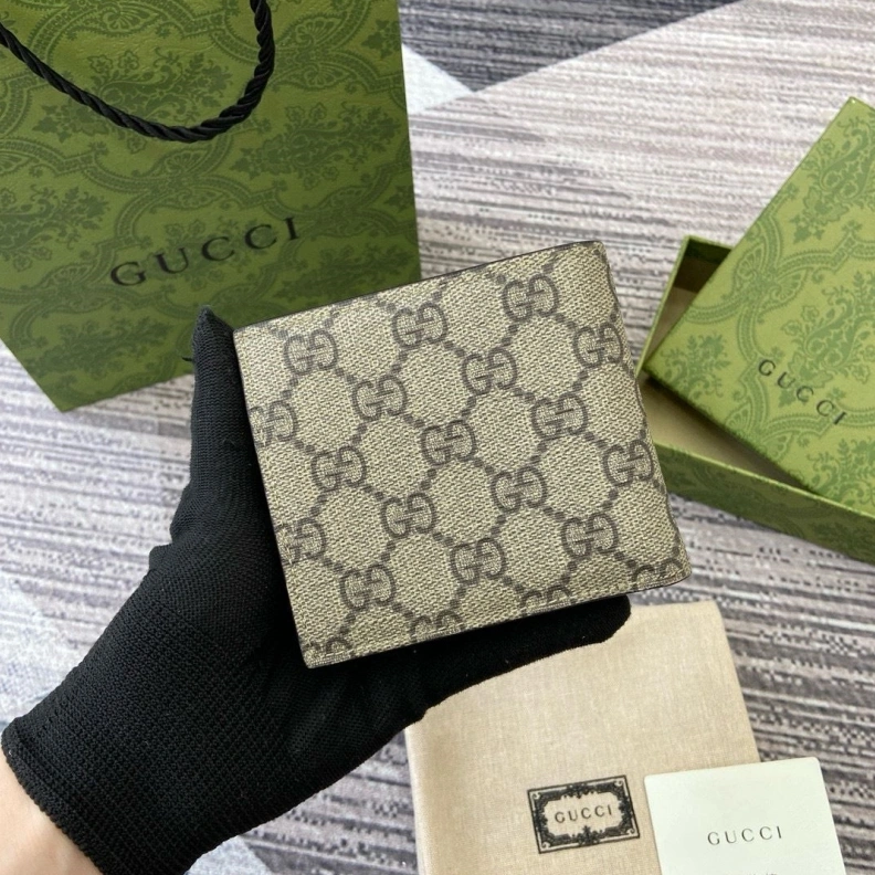 DailyWear Gxccx Wallets & Purse 35199
