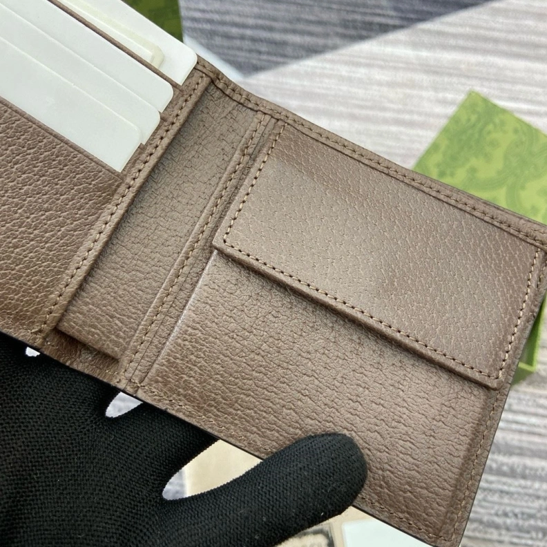DailyWear Gxccx Wallets & Purse 35199