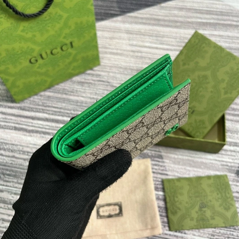 DailyWear Gxccx Wallets & Purse 35204