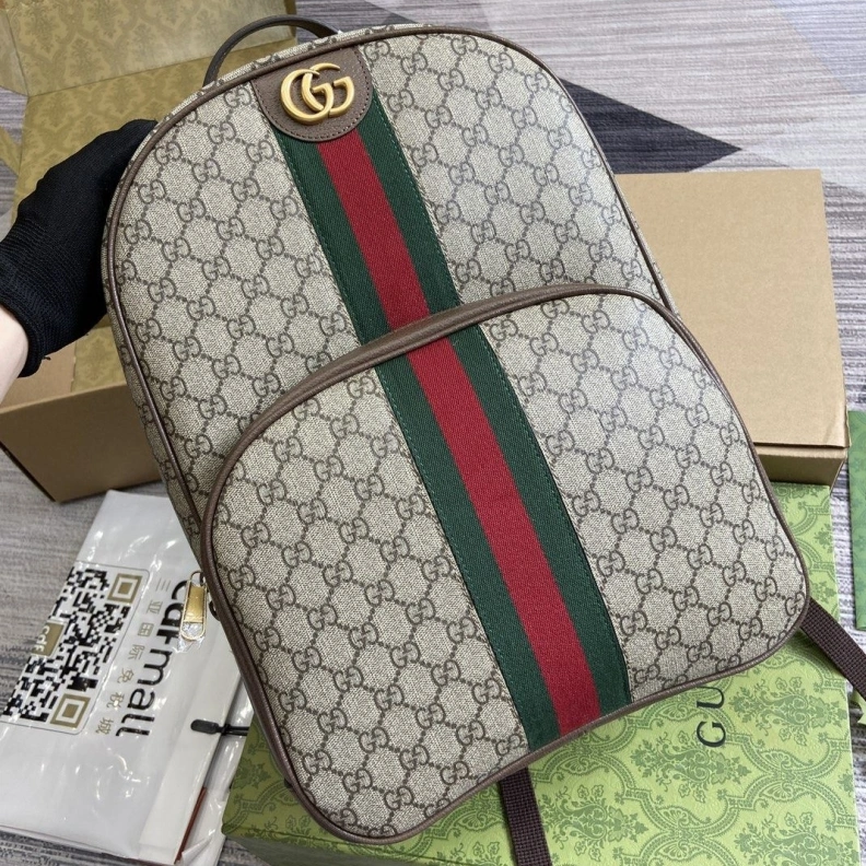 Gxccx Backpacks Fashionable 38351