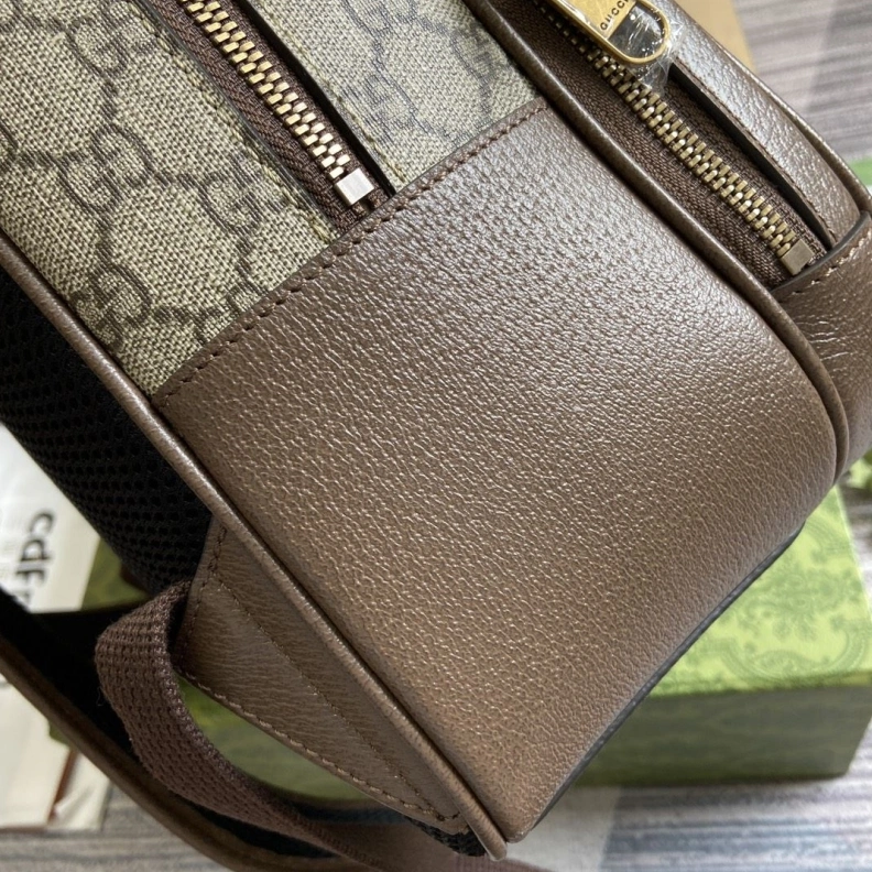 Gxccx Backpacks Fashionable 38351