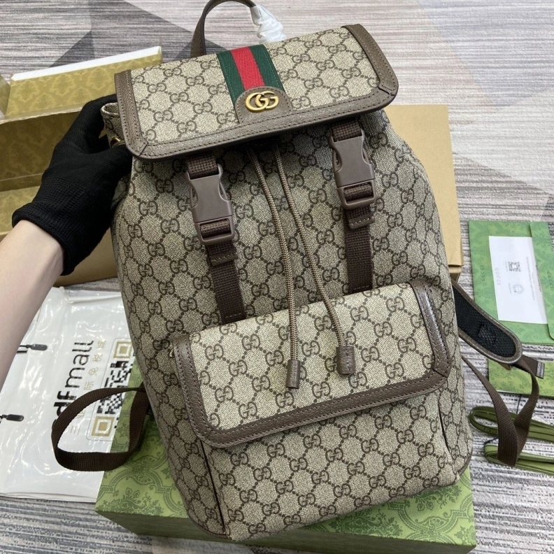 SmartChoice Gxccx Backpacks 38335