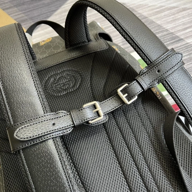Sleek Gxccx Backpacks 38311