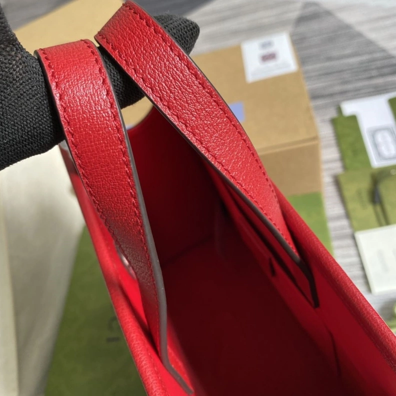 Stylish Gxccx Shopping Bags 36722