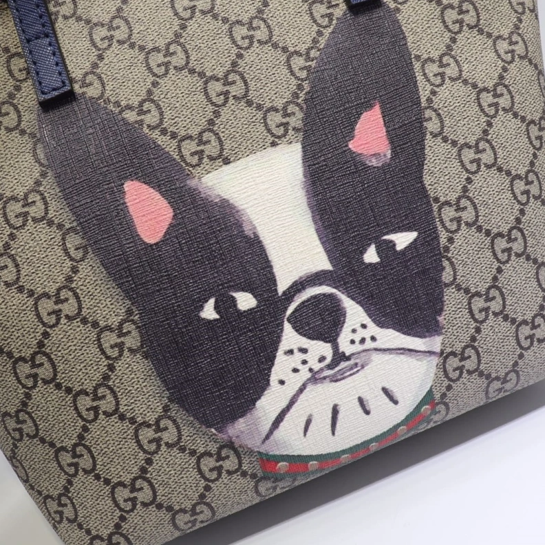 Gxccx Shopping Bags EyeCatching 36663