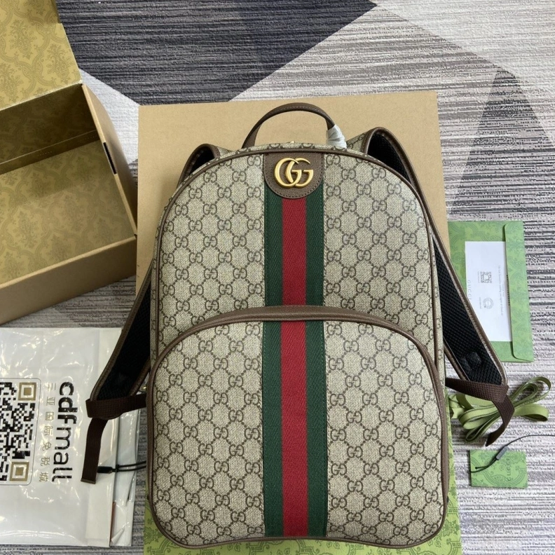 Sleek Gxccx Backpacks 38243