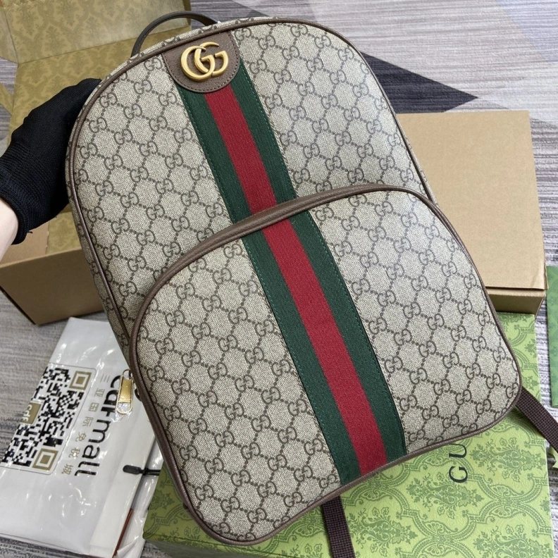 Sleek Gxccx Backpacks 38243