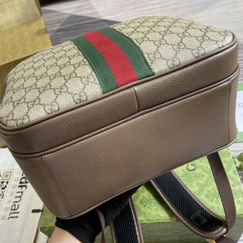 Sleek Gxccx Backpacks 38243