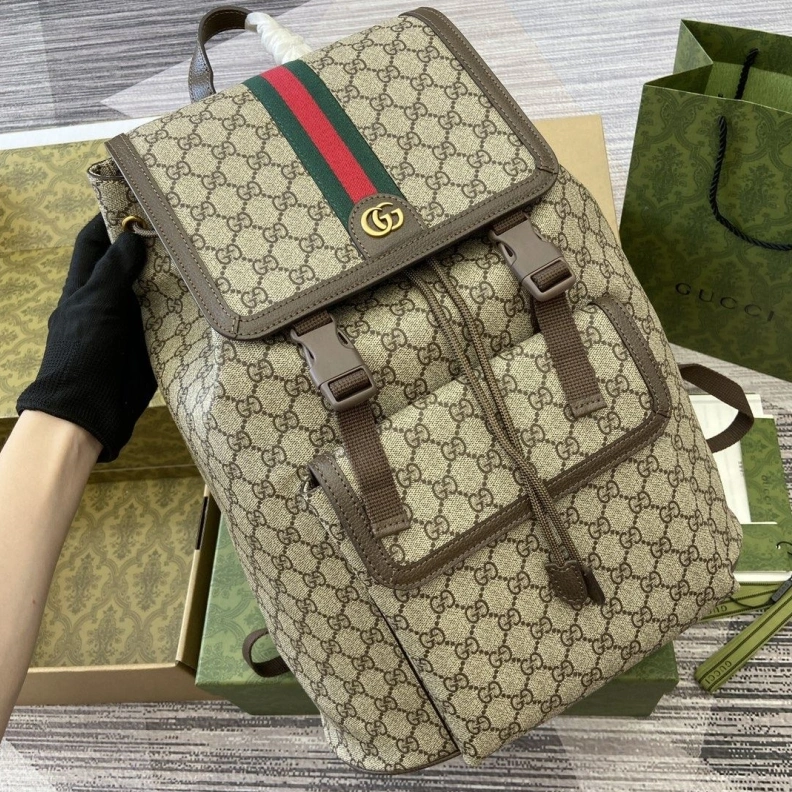 Gxccx Backpacks Stylish 38223