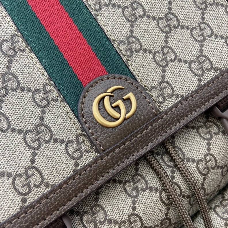 Gxccx Backpacks Stylish 38223