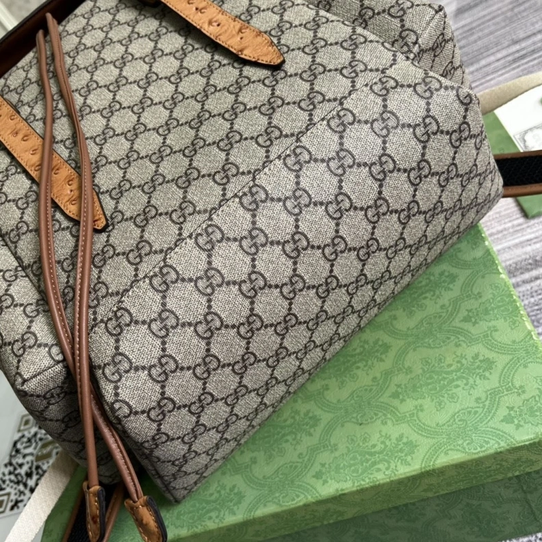 Sleek Gxccx Backpacks 38253