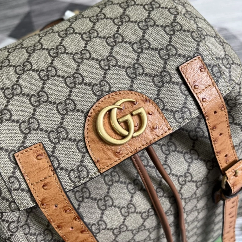 Sleek Gxccx Backpacks 38253