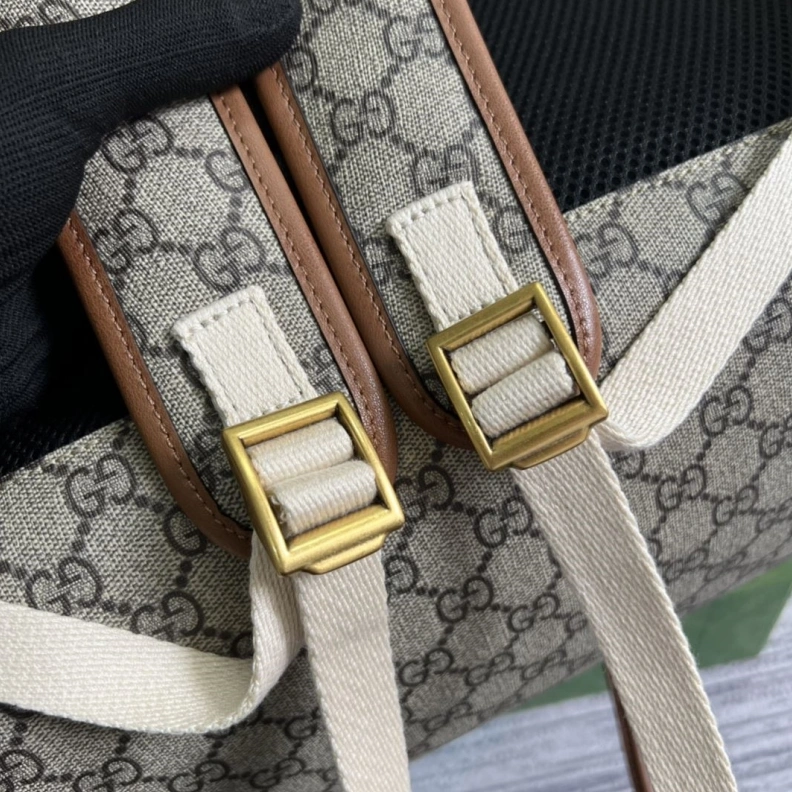 Sleek Gxccx Backpacks 38253