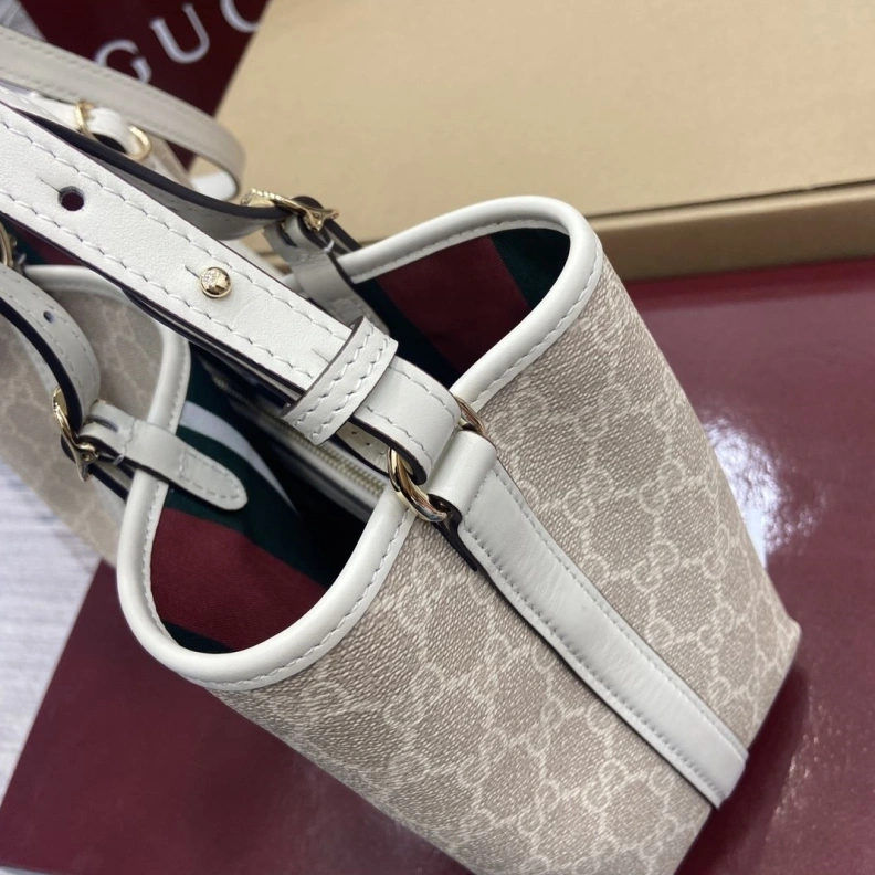 Modern Gxccx Shopping Bags 36547