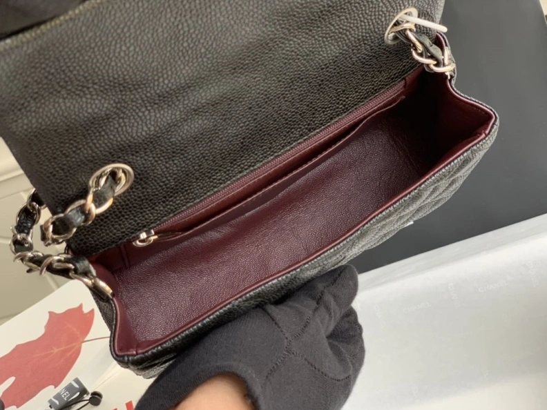 Timeless Chxnxl CF Series Bags 29343