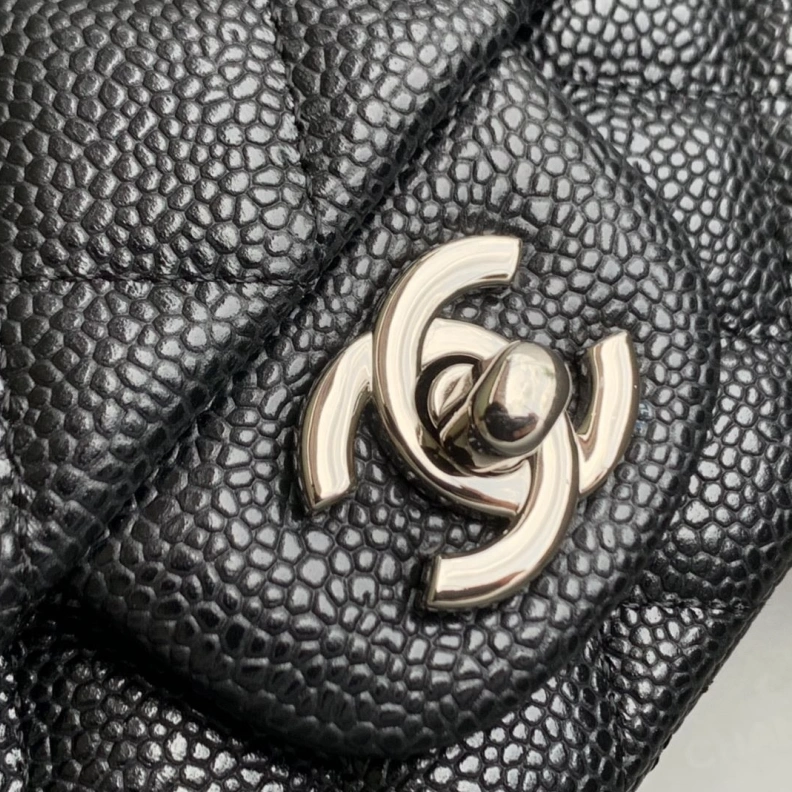 Timeless Chxnxl CF Series Bags 29343