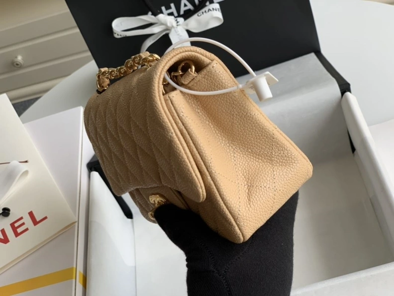 Sophisticated Chxnxl CF Series Bags 29297
