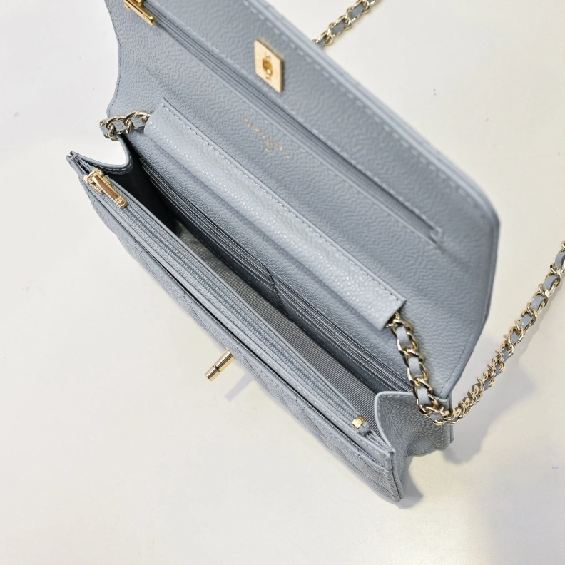 Chxnxl Satchel Bags Unique 29169