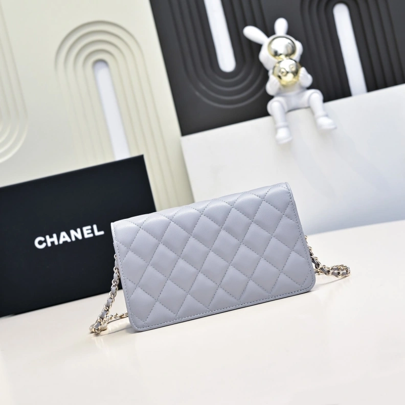 Timeless Chxnxl Satchel Bags 29180