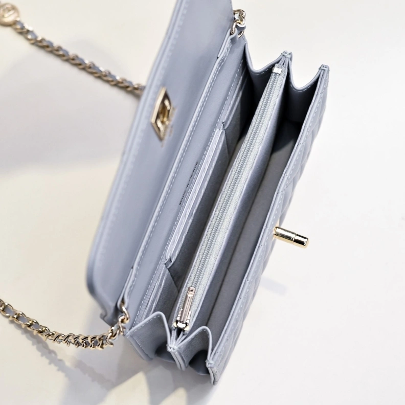 Timeless Chxnxl Satchel Bags 29180
