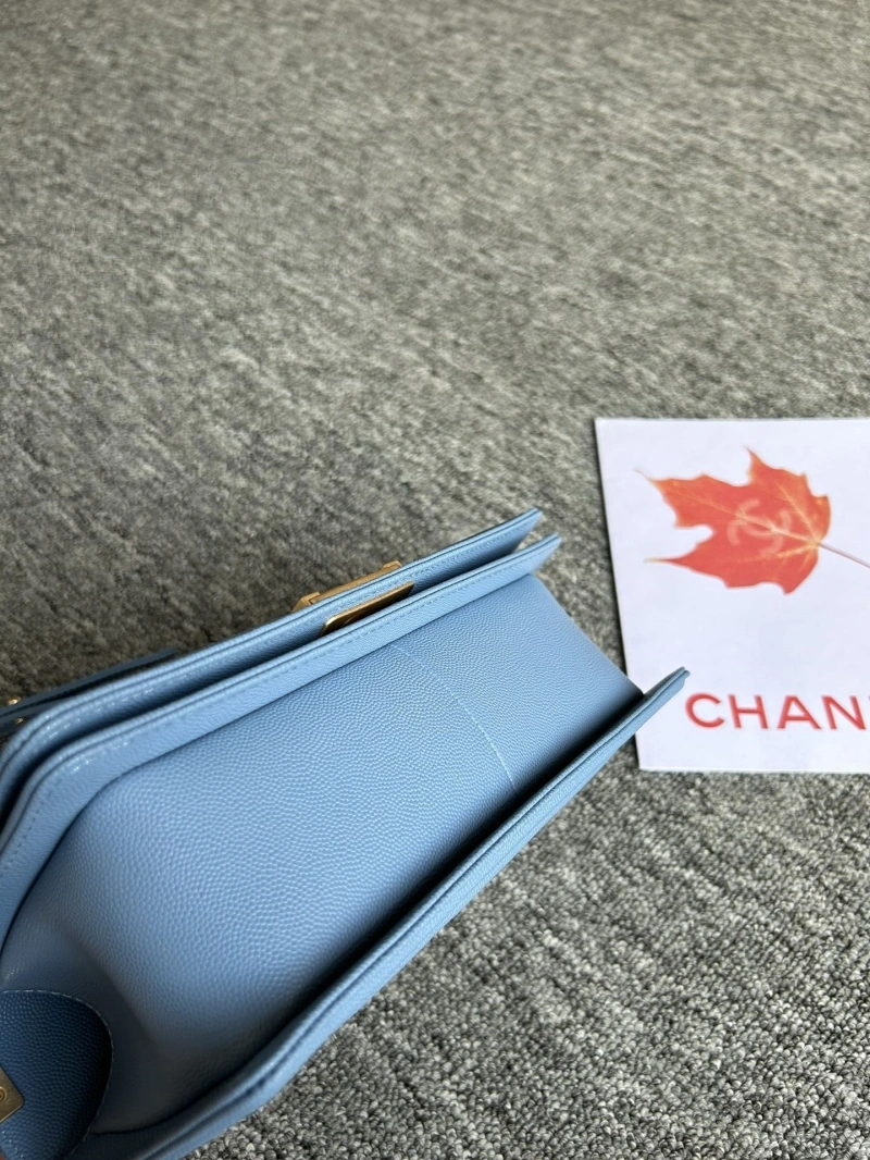 AllSeason Chxnxl Leboy Series Bags 31701