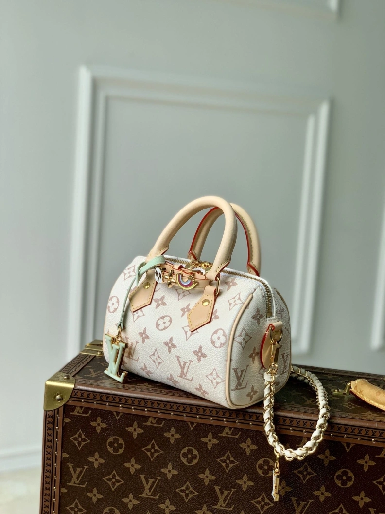 DailyWear LX Speedy Bags 3394