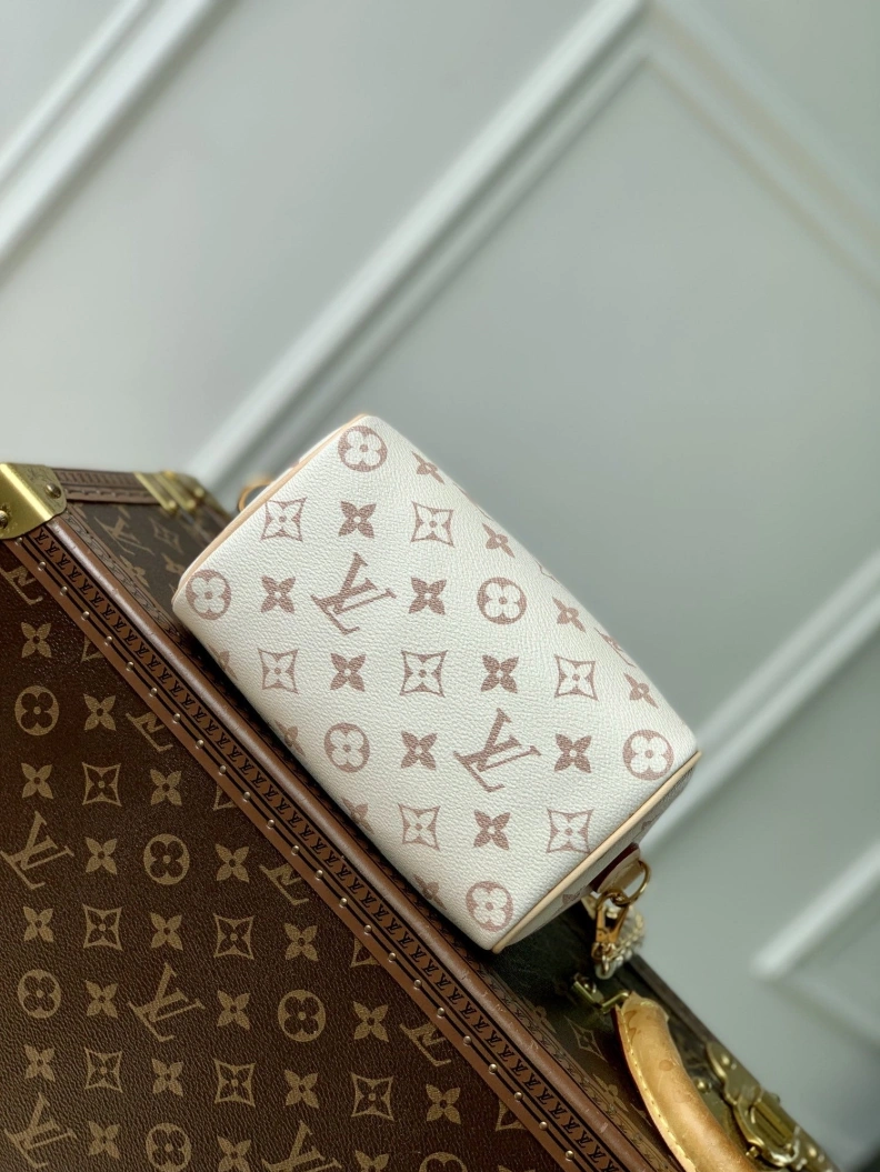DailyWear LX Speedy Bags 3394