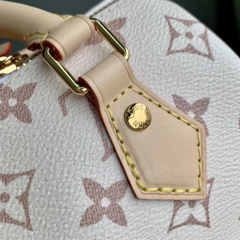 DailyWear LX Speedy Bags 3394